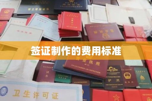 永丰签证制作的费用标准