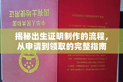 永丰揭秘出生证明制作的流程，从申请到领取的完整指南