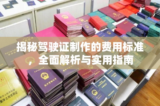 永丰揭秘驾驶证制作的费用标准，全面解析与实用指南