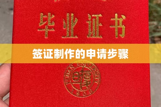 永丰签证制作的申请步骤