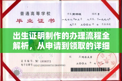 永丰出生证明制作的办理流程全解析，从申请到领取的详细指南