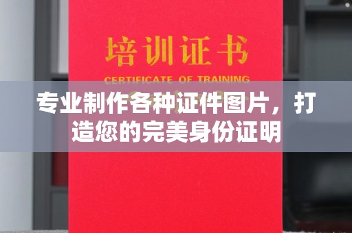 永丰专业制作各种证件图片，打造您的完美身份证明